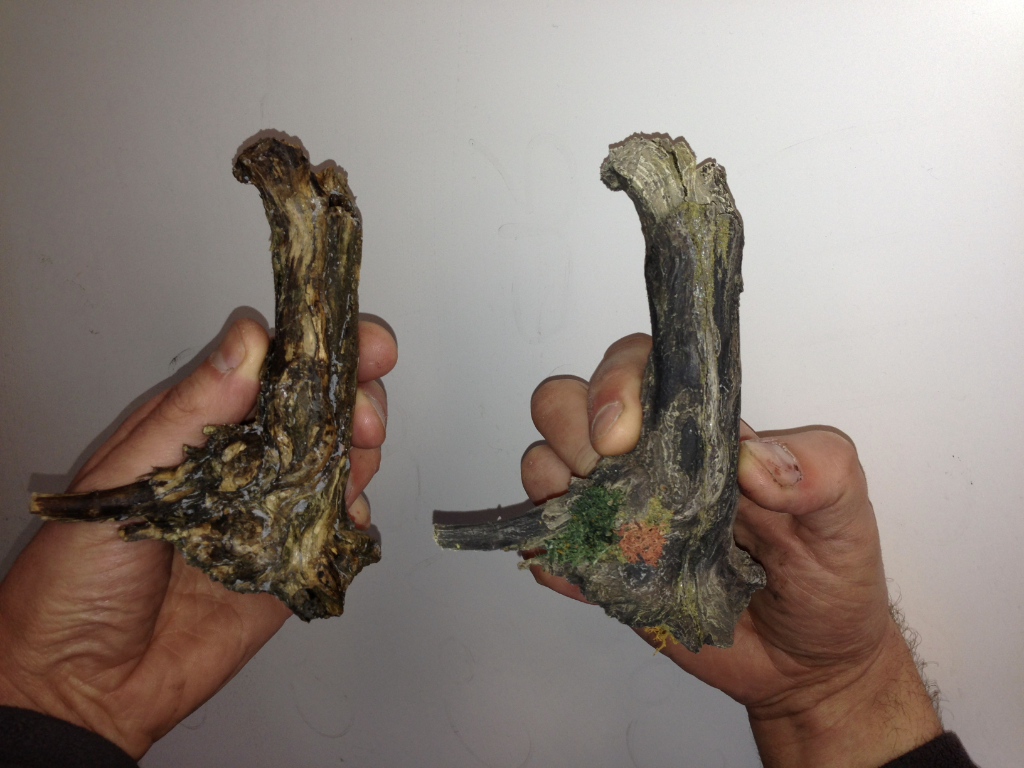 Mimicry and Concealment